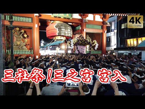 クライマックス!浅草 三社祭 三之宮 宮入り 2024 雷門 浅草寺 浅草神社 Tokyo,Sensoji Temple. Asakusa Shrine Sanja Matsuri Festival
