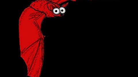 Episodio 1 - Entendendo o ambiente para backup profissional Bacula