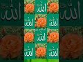 Surah Ikhlas Beautiful Heart Touching Voice Qurantilawat Surahikhlas Surahikhlaskibarkat Quran