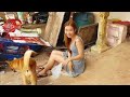 A SPECIAL BONDING BETWEEN A CUTE GIRL AND HER FUNNY DOG