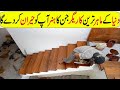 Ingenious Construction Workers That Are At Another Level In Hindi/Urdu