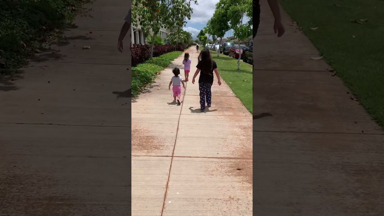 Run Into A New Week | Holo Holo Kids | 