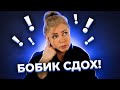 Ночной разговор с подписчиками. Забавное, ностальгическое, душевное