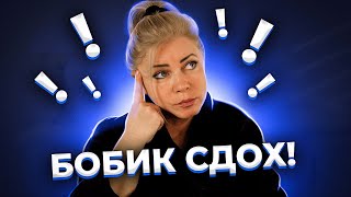 видео: Ночной разговор с подписчиками. Забавное, ностальгическое, душевное картинка: Ночной разговор с подписчиками. Забавное, ностальгическое, душевное