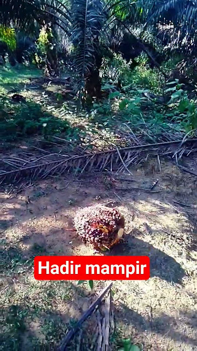 semoga kita termasok.aamiin ya rab