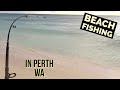 Beach fishing in perth western australia  best cut bait