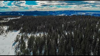 Ringkollen 15  mars 2021