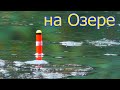 на Лесном Озере 2, Рыбалка на карася, Снасть с двумя крючками. Ловля карася на болтушку из манки