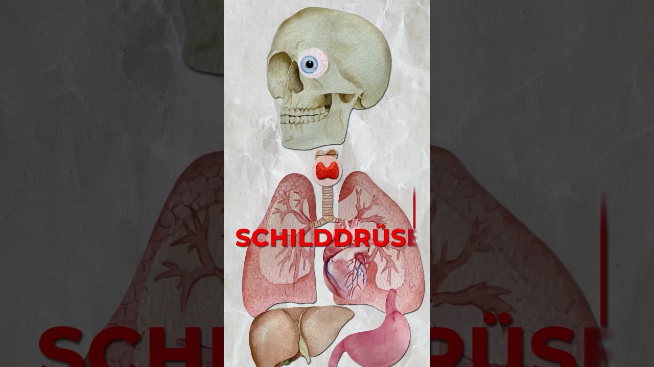 Warum ist Jod in unserem Salz? – La Minuterie