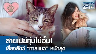 สายเปย์ทุ่มไม่อั้น! เลี้ยงสัตว์ “ทาสแมว” หนักสุด | BUSINESS WATCH | 26-04-67