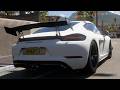 PORSCHE 718 CAYMAN GTS || FORZA HORIZON 5 || STEERING WHEEL GAMEPLAY