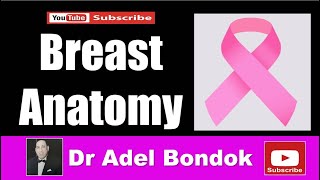 Breast Anatomy, Dr Adel Bondok