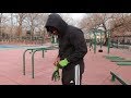 Cold Street Workouts Calisthenics Reps