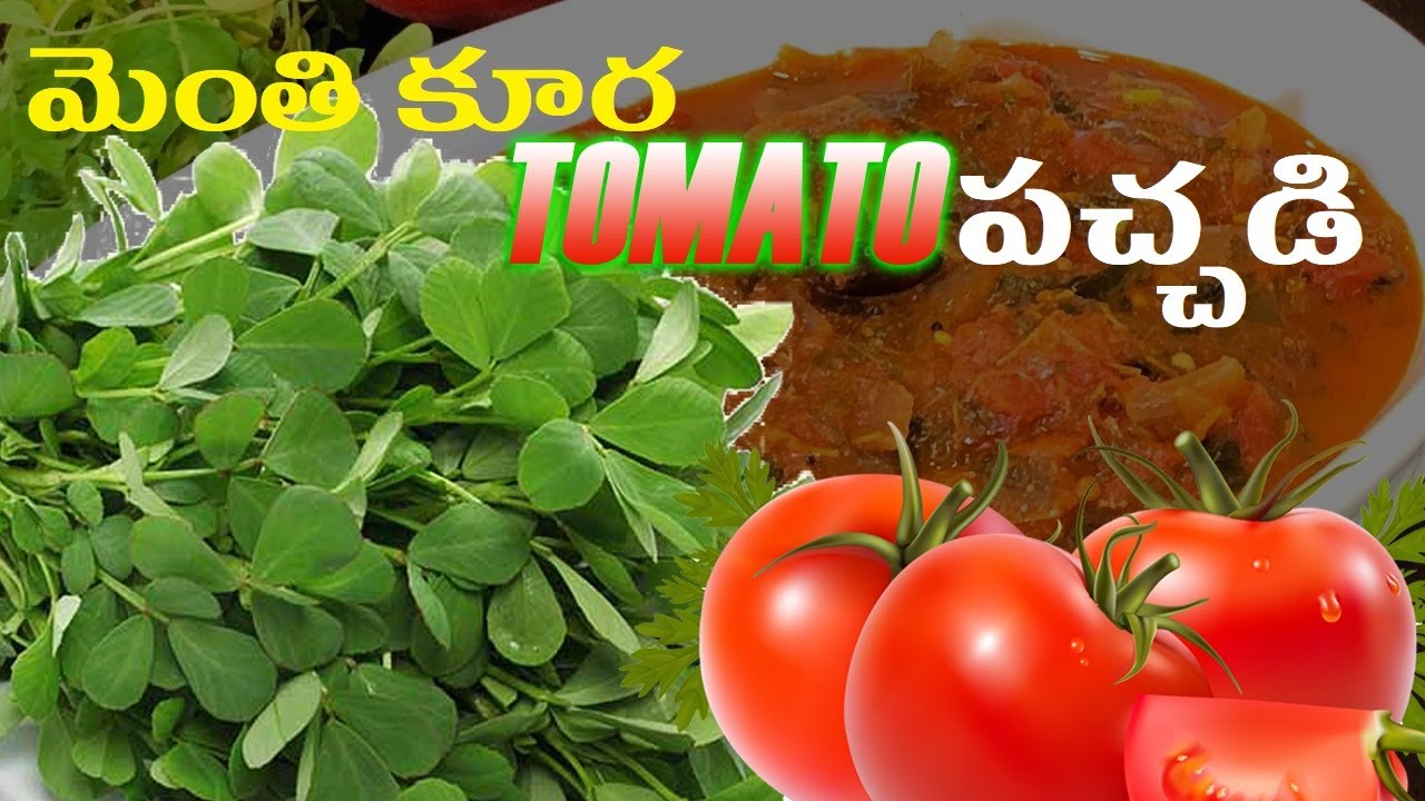 How to cook methi tomato curry in telugu మెంతి టమాట Fenugreek