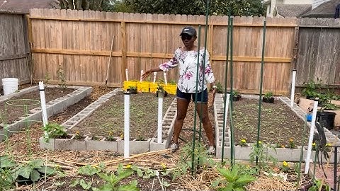 How to Build a Cinder Block Garden Bed - Useful Tips Revealed!