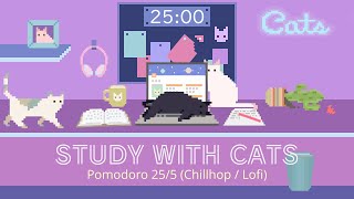 Study with Cats 🎧 Pomodoro Timer 25/5 x Animation | Chillhop | For studying / working / coding etc💜 by Pomodoro Cat 100,005 views 1 year ago 1 hour