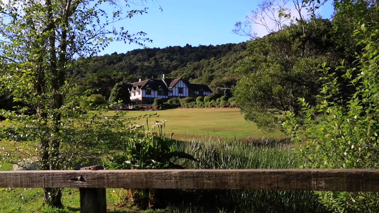 2814 Springbrook Road, Springbrook, 4213