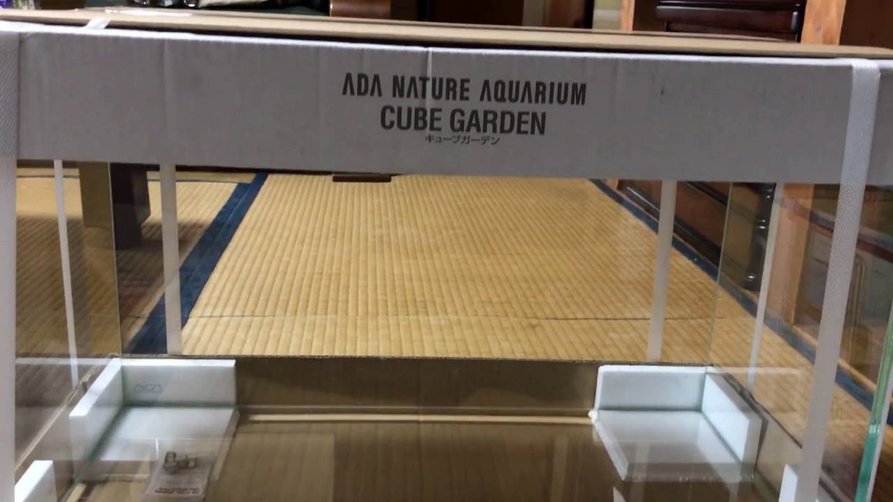 Adaで60cm水槽立ち上げ Youtube Adaで60cm水槽立ち上げ Youtube