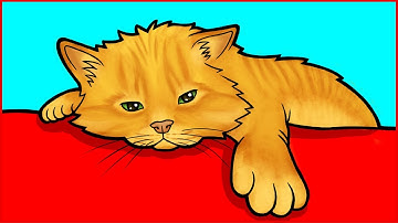 7 Signs Your Cat is Really Bored and How to Fix It