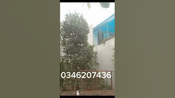 12t/m2 gần đại học FPT Hòa Lạc. #shorts