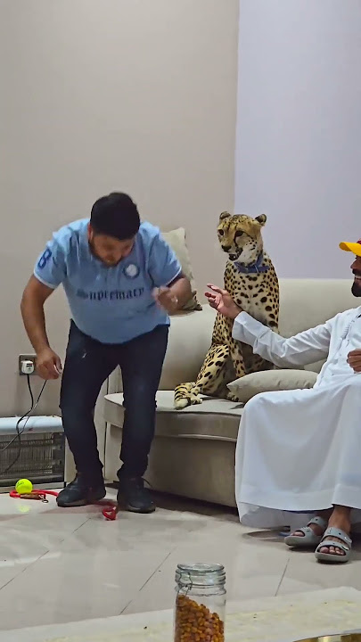 Dangerous Cheetah Attack on My Face | Nouman Hassan |