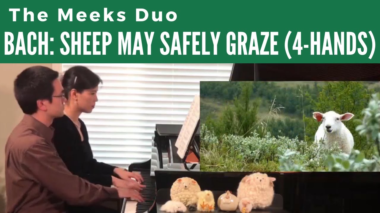 Bach Sheep May Safely Graze (arr. 4-hands piano by Mary Howe) - YouTube