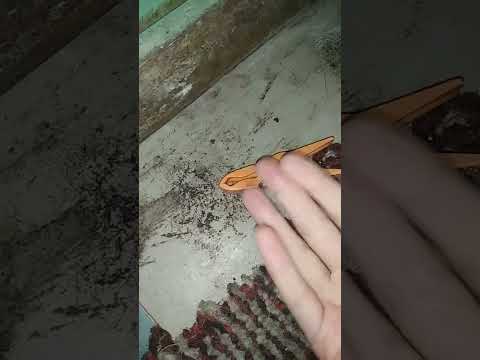 asmr clothespin #asmr