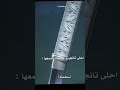 ماابغاه يودع
