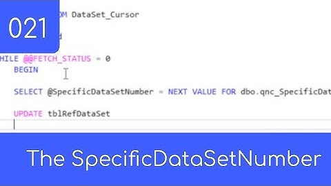 021 - The SpecificDataSetNumber - SQL Master Data Management