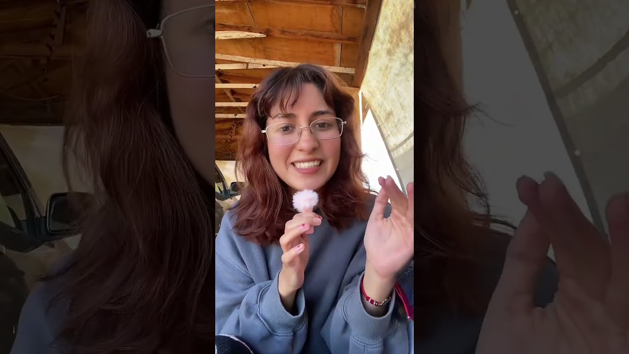 ¿Que hubiera pasado ?