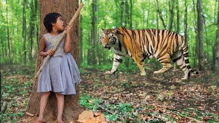 Tiger attack school children in the forest | Royal bengal tiger attack, tiger attack in jungle