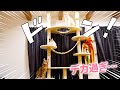 ベルちゃんが来たお祝いに最高のキャットタワーをプレゼントしたら凄過ぎたwwww