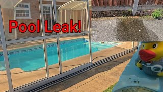 Pool leak penetrating through the garden wall!