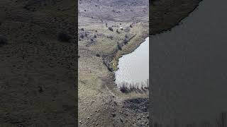 Mini5Pro ilk deneyim #ytdayibenionecikarnolur