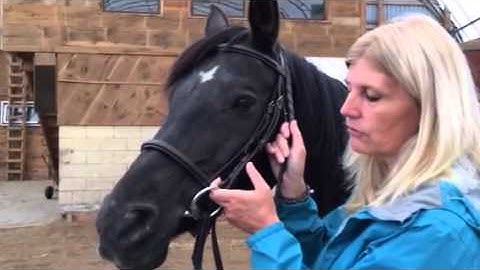Enlightened Dressage - Muriel Chestnut demonstrates Flexion of the Jaw and Neck Extension