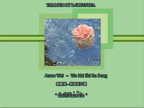 [THAISUB] Arrow Wei – 我还是不懂 | By B.greentea