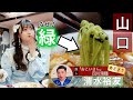 【緑の麺！？】推し地元メシ トップ競輪選手おすすめ【山口】