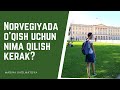 Norvegiyada o'qish uchun nima qilish kerak?