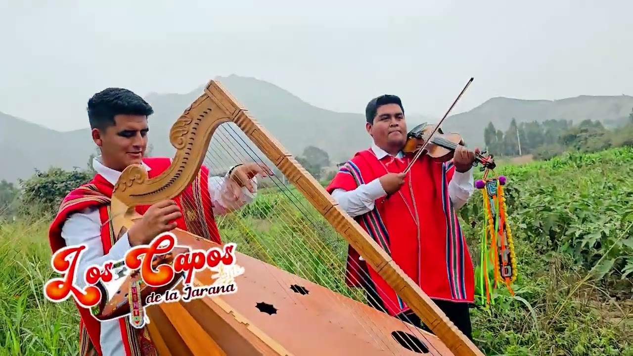 JARANA CON ARPA Y VIOLIN CON QUINTO CHICO Y YEFERSON CASTRO 