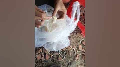 Hướng dẫn cách móc đậu hũ câu cá chim