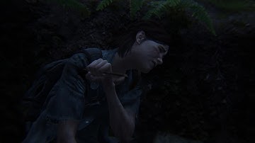 The Last Of Us Part II - Seraphite Ambush Grounded/Undetected/No Kills/No HUD/No Weapons/No Damage