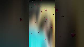Download lagu WhatsApp status video lovely beautiful song WhatsApp status video lovely beautiful song