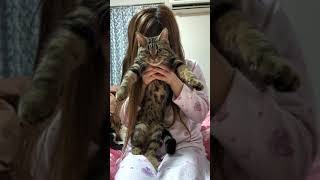飼い主からダンスのスパルタ猛特訓を受ける子猫#shorts