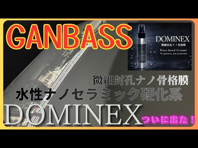 36 GANBASS 【DOMINEX】水性ナノセラミック硬化系コーティング/犠牲
