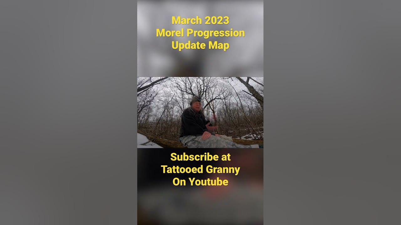 2023 Morel Mushroom Progression Map, shorts, morelhunting YouTube