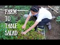 Farm To Table Salad | Gumawa Ako Ng Salad Mula Sa Garden Namin | Chito Miranda | Neri Naig Miranda