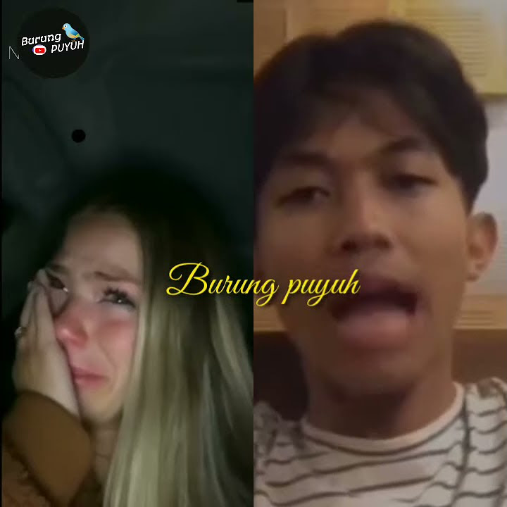 Quest Anjing pada hari Ini Taii Story Wa Duet