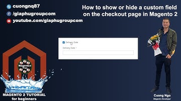 How to show or hide a custom field on the checkout page in Magento 2