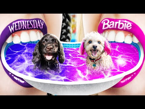 Barbie Wednesday Addams'a Karşı! Evdeki Evcil Hayvanlar İçin Minik Bir Su Parkı İnşa Ediyoruz!