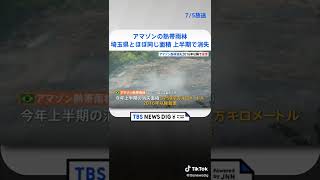 アマゾンの熱帯雨林 埼玉県とほぼ同じ面積が上半期で消失 2016年以降、最悪 #shorts | TBS NEWS DIG
